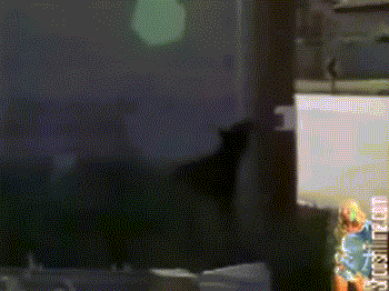 гифки-живность-убило-15-киловольт-1122189