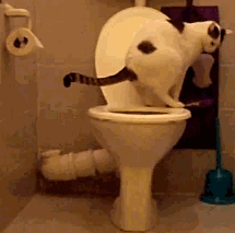 138