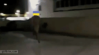 политика-гифка-санкции-Росиия-1027299