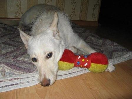 111199286_mSSkDHbROuQ