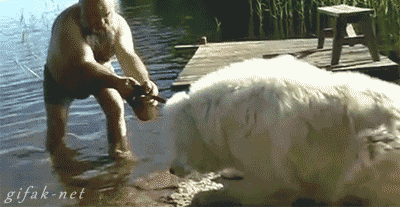 Ну, пойдём окунёмся..