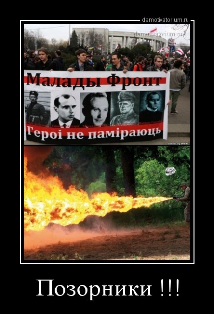 dm_temp_image_32703141530541791583[1]