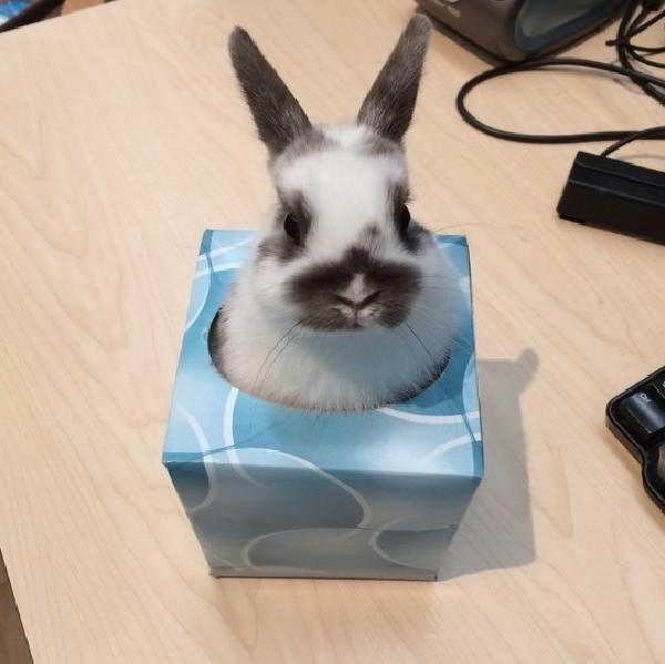 111293813_8e432e5d9dd24260153e81f8c934e172_98509