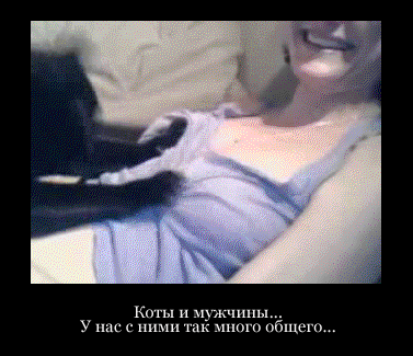 1314918237_animirovannye-demotivatory-10