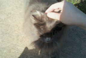 1395988652_2000111345