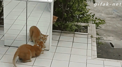 1396012816_152894790