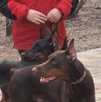 две подружки111