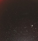 1235235673_post-31-1153075666