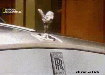 POP
