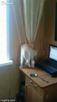 1397283954_1410345697