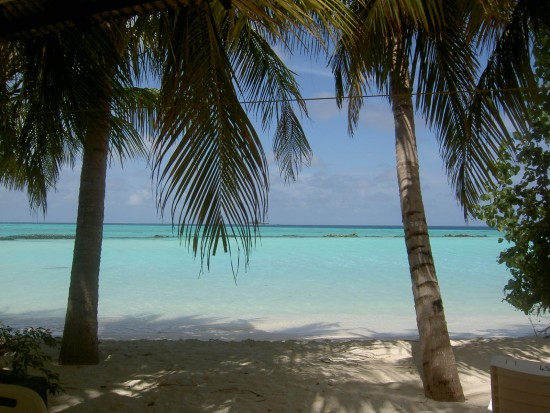 0_1ba13_adfdbdf6_orig