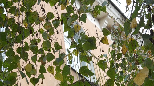 0_916fc_212a8b98_-1-L