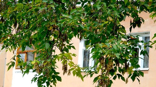 0_91750_d0baabbe_-1-L