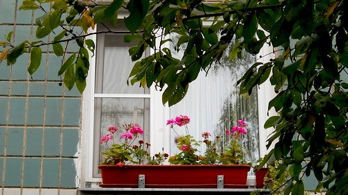 0_8cffd_9c4ad641_-1-L