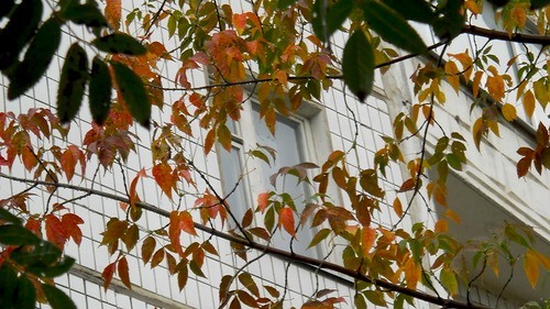 0_8c504_eef86ce6_-1-L