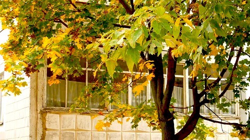 0_91532_94a2f39c_-1-L