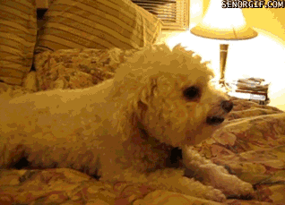 Улыбнитесь!