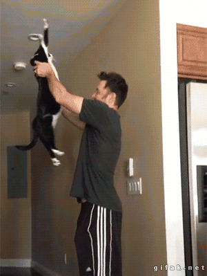 Котэ наоборот