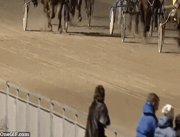 1369851293_1948742120