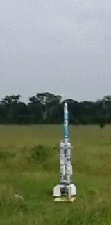 -gif-1278324