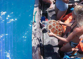 1401606415_1623920823