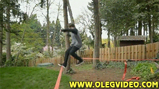 scorpion_vs_slackliner