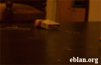 -курица-песочница-795543