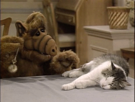 1373665837_2078936203