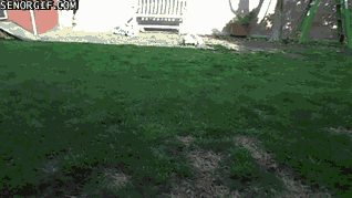 1402709703_490458945