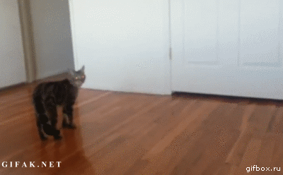 7f786c5c332dcbcf216c61967acd3b8e