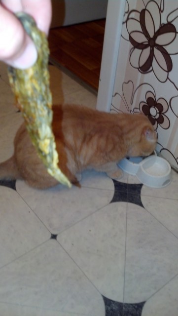 IMG_20140622_220928_736