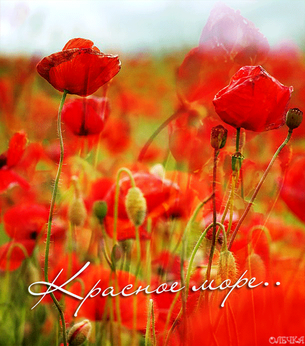 0_112214_6f3d7e19_orig