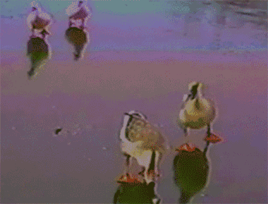 1403778974_847558737