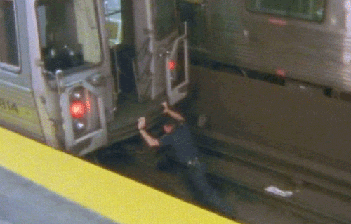 Fungif_13
