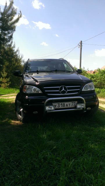 IMAG0343