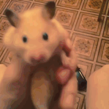 aas