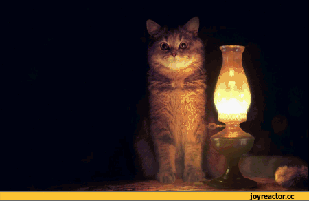 D0BDD0B0D181D182D0B0D0BBD0BED0B2D180D0B5D0BCD18FD0BED185D183D0B8D182D0B5D0BBD18CD0BDD18BD185D0B8D181