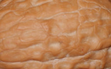 грецкий орех 1