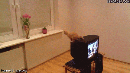 anigif_enhanced-buzz-307-1404929537-13