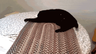anigif_enhanced-buzz-3623-1404930540-10