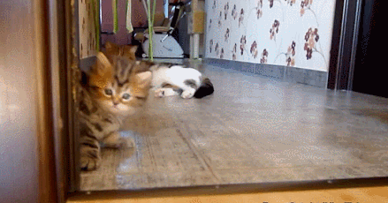 1405949749_819220721