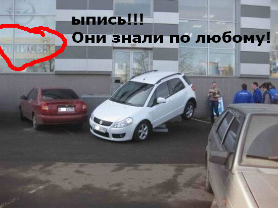 post-3-12726038909059