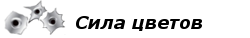 mini2-3