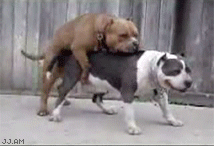 1267053280_drunk_sex