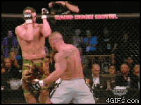 1267053579_ribshot_counter