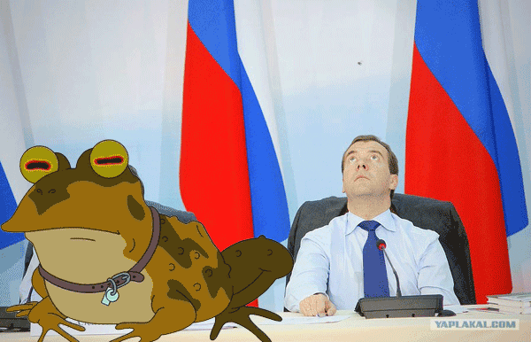 жаба и медвеев