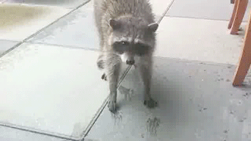 klassnye-gifki-25-gifok_11