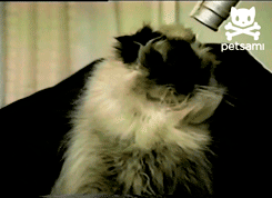 с заказчиком