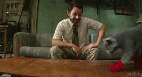 шаги в программировании