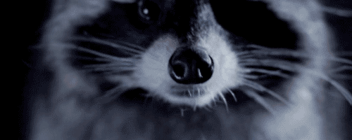 9d1d15a018354ea5458315eb56083827